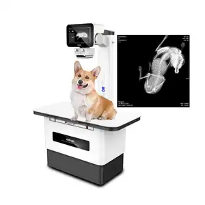 DAWEI 공장 수의사 엑스레이 기계 125ma 애완 동물 진료소를 위한 싼 가격 아날로그 엑스레이 기계