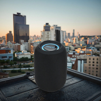 Mini haut-parleurs portables TWS Subwoofer sans fil à lumière LED RVB avec son stéréo de basse USB pour les fêtes musicales en plein air