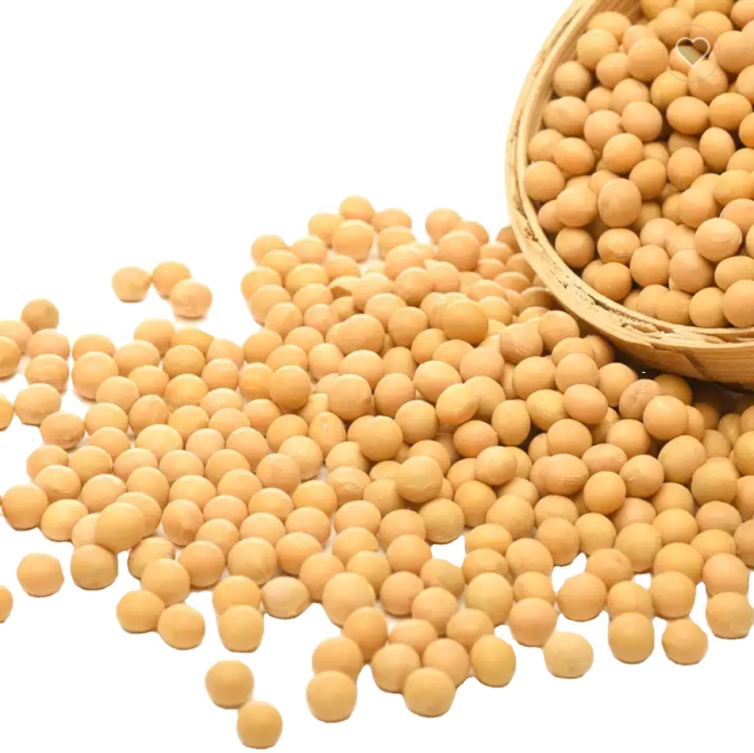 соя м. соя м. соя сорт золотистая. что такое соя продукт. соя м.