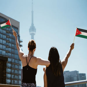 Vente en gros de haute qualité Mini drapeau à main <span class=keywords><strong>Jordan</strong></span> drapeau agitant à la main avec poteau en bois - Product Image 5