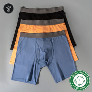 Nueva llegada sólido cómodo transpirable logotipo personalizado cintura elástica bóxer largo breve ropa interior de algodón orgánico ecológico - Product Image 2