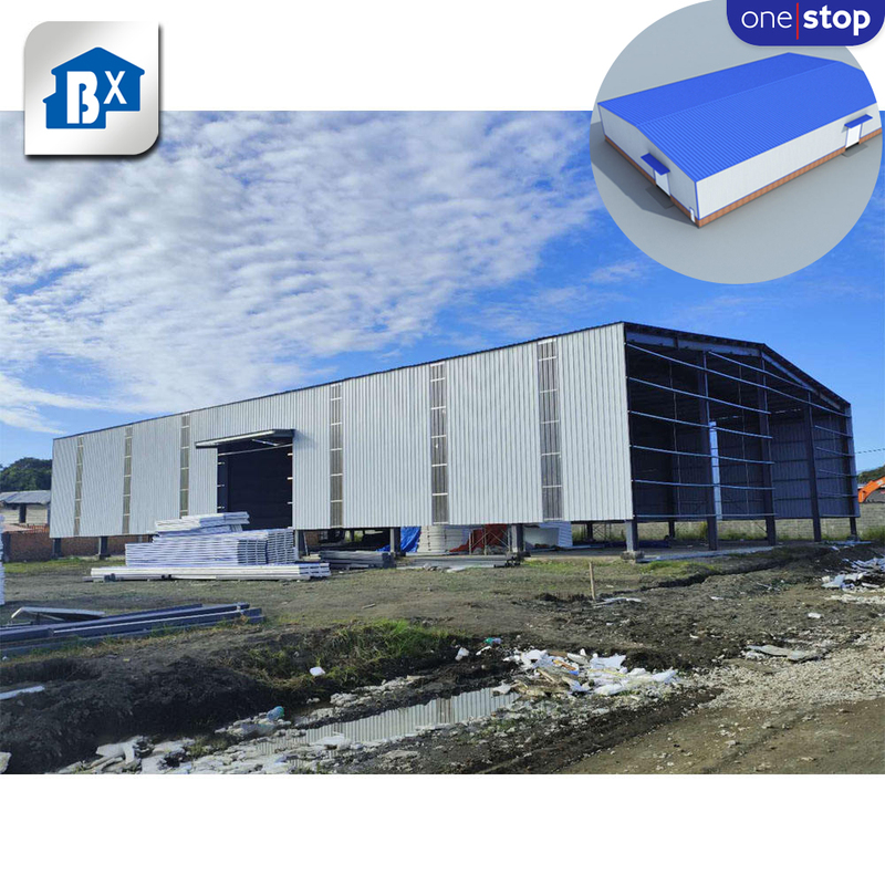 Professional Factory Warehouse Prefabricated Workshops Plants