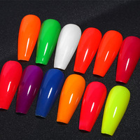 BIN Nail Art 12 couleurs poudre fluorescente poudre de trempage poudre néon