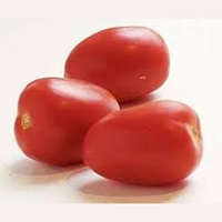 Premium F1 Hybride Rode Ovale Tomatenzaden 99,9% Zuiverheid 90% Kiembaarheid Moon Star BIGRO Hoge Opbrengst Ziektebestendig Commerciële Oogst