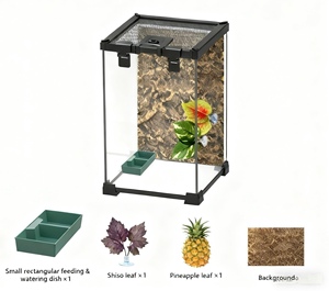 Reptilien glas <span class=keywords><strong>Terrarium</strong></span> Tank 8 "x 8" x 12 "obere Öffnungs tür Voll ansicht Ökologischer Tank Amphbinas Glas Lebensraum Gehärtetes Glas - Product Image 2