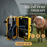 Nouvel appareil de magnétothérapie PEMF en boucle pour le soulagement des douleurs à l'épaule et aux jambes, magnétothérapie vétérinaire équine, appareil de physiothérapie magnétique