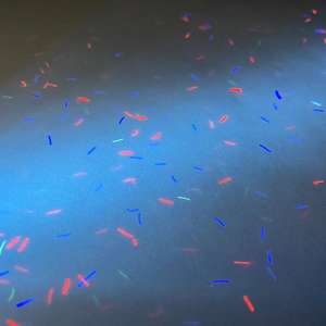 Papel de Seguridad GDLEGEND Personalizado de 75g A4, Papel de Fibra de Algodón y Lino con Protección UV Invisible Rojo, Azul y Verde, Diseño Personalizado, Hecho en China - Product Image 3