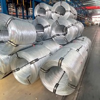 Fil d'acier galvanisé à chaud professionnel pour la fabrication de clôtures en grillage et de systèmes de barrières de sécurité à usage industriel