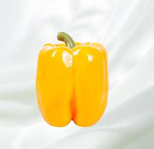 Fabricante al por mayor diseño clásico lindo personalizado perro chirriante juguetes de peluche juguetes orgánicos para mascotas caucho silicona papel látex bambú <span class=keywords><strong>PU</strong></span> - Product Image 4