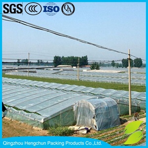 Film de serre en plastique PE de l'usine chinoise HC pour fruits et légumes, maïs, vente en gros, export - Product Image 6
