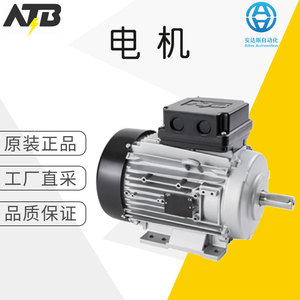 Motor de Inducción Atb de 130 mm Trifásico IEC de Bajo Voltaje con Montaje en Pedestal y Eficiencia IE3 - Product Image 1