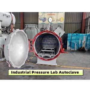 <span class=keywords><strong>Autoclave</strong></span> di gomma della camera di pressione industriale per resine - Product Image 3
