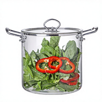 Marmite à soupe et à bouillon en verre borosilicate grande capacité à double anse, compatible cuisinière à gaz, avec poignée en acier inoxydable, style américain