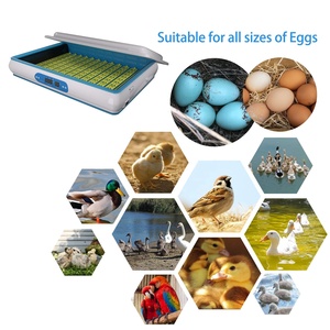 Wonegg 3 capas 360 incubadora de huevos de pollo equipo de incubación inteligente granja avícola máquina incubadora de huevos - Product Image 5