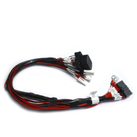 Arnés de Cables de Señal EV Personalizado con Conector MX34036SF1, Conjunto de Cables para Comunicación Interna y Adquisición de Datos en Vehículos Turísticos