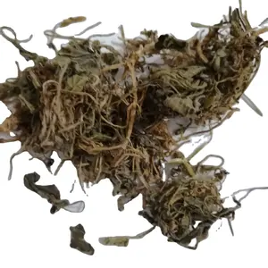 <span class=keywords><strong>Zi</strong></span> hua <span class=keywords><strong>di</strong></span> ding plantes entières séchées brutes herbe vivace PAS extrait naturel HERBA VIOLA à vendre - Product Image 1