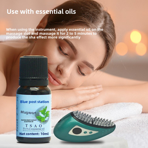 Cepillo Eléctrico para Masaje Corporal Meridian, Dispositivo de Belleza para Uso Doméstico, Terapia de Luz Roja, Microcorriente, Vibración, Gua Sha, Masaje de Tracción - Product Image 3