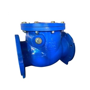 Disco in gomma duttile ferro valvola di ritegno manuale DIN3202-F6 Dn50 PN16 altalena altalena fusione legata epossidica rivestita - Product Image 5