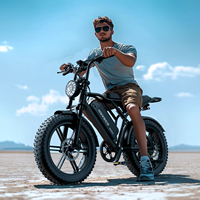 Vélo électrique V8 H9 Ebike Retro Fat Bike avec moteur et pneus larges, équipé d'un phare LED avant pour les sports de plein air