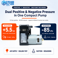 Compresseur d'air portable mini électrique 12V à piston, haute pression CC 550 kPa, débit élevé 40 L/min, OEM