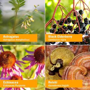 Compléments alimentaires pour renforcer l'immunité, baies d'églantier, zinc, vitamine 6-en-1, complément multivitaminé liquide, vitamine D3 et vitamine C, gouttes immunitaires - Product Image 3