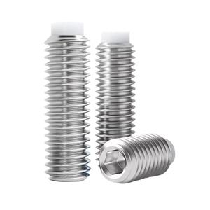 Tornillo de fijación hexagonal de acero inoxidable 304 con punta plana antiarañazos de POM, sistema métrico, precio mayorista del fabricante - Product Image 3