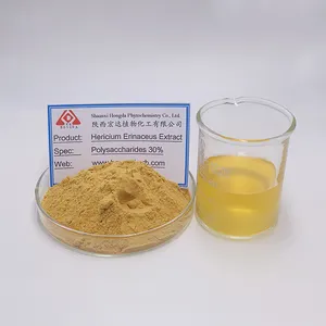 Lions Mane Mushroom Extract Powder Polysaccharides Pure Lions Mane Powder