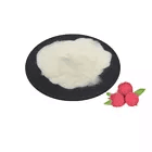 Poudre de jus concentré d'extrait de litchi sauvage 100% pur, séché, de qualité alimentaire, extraite par solvant
