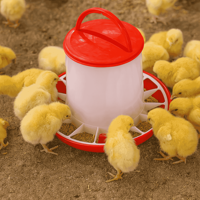 WANJIA Nouveau Distributeur Automatique de Nourriture pour Poulets en PP avec Conception Anti-Déversement pour Poussins, Poules et Poulets de Chair - Équipement d'Alimentation pour Volailles de Ferme et de Jardin