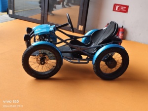 Quadricycle électrique tout-terrain à pneus larges avec moteur double 2000W et batterie lithium 30Ah - Product Image 4