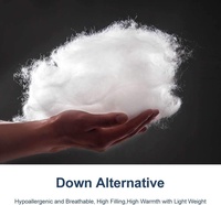 Échantillon gratuit, vente en gros, housse de couette en tissu de bambou, couette en Fiber de Polyester douce et lisse