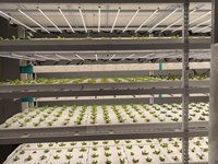 Reinfa Farmhydro : Système hydroponique NFT à haut rendement pour les légumes-feuilles