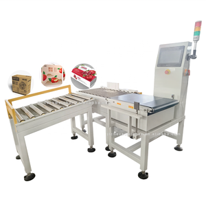 Máquina Verificadora de Peso Personalizada con Empujador, Máquina Automática de Verificación de Peso, Imprime el Peso en Cajas - Product Image 1