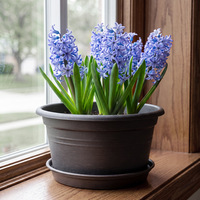 Pot universel en résine épaissie, respirant et biodégradable, pour jacinthe bulbeuse, lys, tulipe, grandes fleurs, boule de semis et pot à faible capacité en gallons