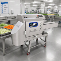Multifunctionele groentesnijmachine, bandsnijder, saladesnijder, -schaaf, -hakker voor wortelachtige bladgroenten en fruitverwerking