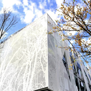 Murs-rideaux modernes en aluminium perforé anodisé anti-corrosion pour la décoration de villas à prix avantageux - Product Image 1