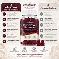 Gummies de champignons Lion's Mane à marque privée pour la mémoire, la concentration cérébrale, supplément nootropique végétarien, faible teneur en sucre, OEM