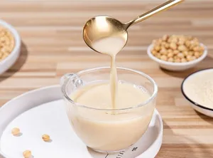 Soy Bean Milk Powder