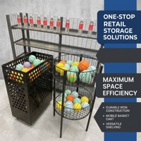 Chariot de rangement mobile à 2 niveaux pour balles avec 4 paniers, présentoir à jouets, chariot utilitaire roulant