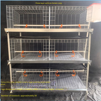 ZHEN WAY Cage à poulets de type H multi-niveaux entièrement automatique, nouvelle génération, galvanisée à chaud, équipement avicole avec alimentation et abreuvement automatiques du fumier