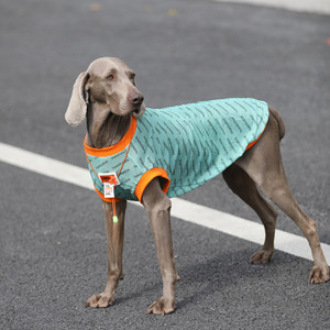 בגדי קיץ דקים במיוחד XXL לכלבים גדולים, רשת נגד נשירת שיער, עבור לברדורס, בורדר קולי וגולدن רטריבר - Product Image 4