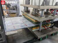 Machine de fabrication et de remplissage de masques hydrogel pour les yeux, marque privée OEM, pour les patchs de soin de la peau K-beauty VIPPAI VPD800E