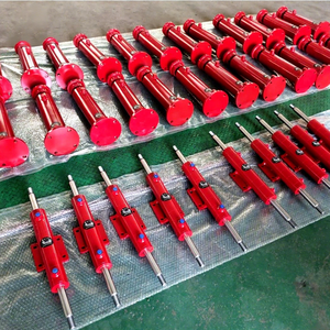 בוכנות פלטפורמה הידראולית סטנדרטיות לרכב, בוכנה כפולת פעולה (פלדה) - Product Image 1