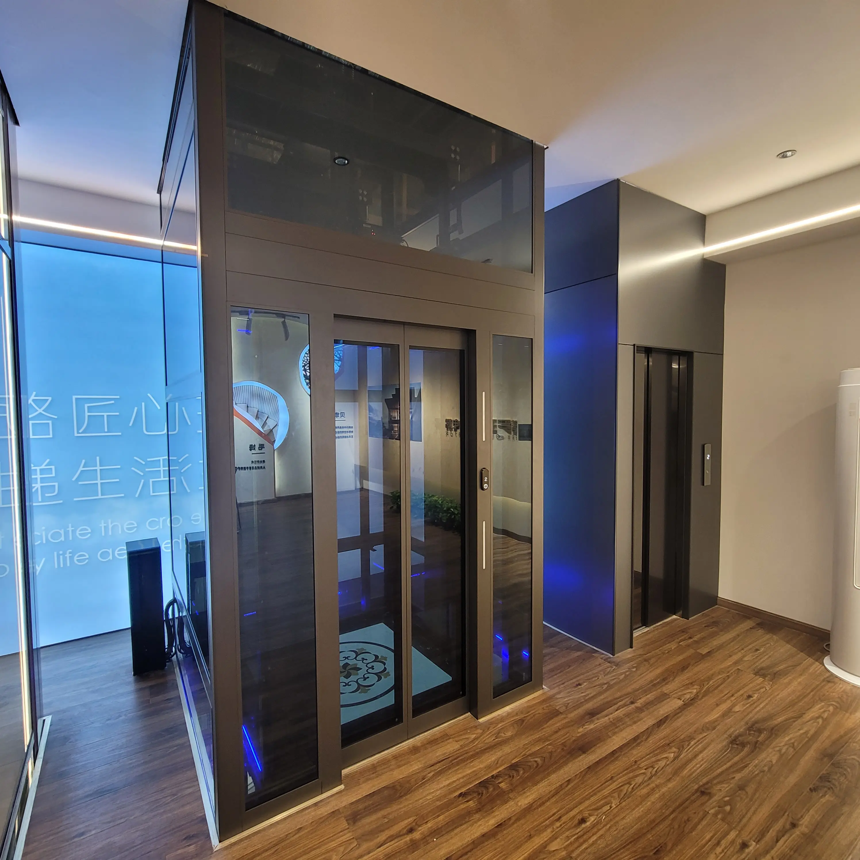 2024 Good price Glass Large Capacity passenger lift Residential Villa Elevators household elevator
