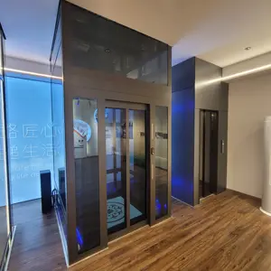 2024 Good Price Glass Large Capacity Passenger Lift Residential Villa Elevators Household Elevator