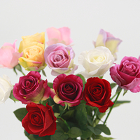 Realistische Diana Rose Hotel Familie Decoratie Verloopkleur Klein Hoofd Enkel Takje voor Afstuderen Valentijnsdag Kerstmis
