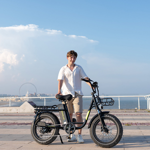 Vélo électrique KOOLUX X7, cyclomoteur de route avec pédales, moteur à moyeu arrière, usage urbain, pneus larges 20X4.00, 25 km/h - Product Image 3