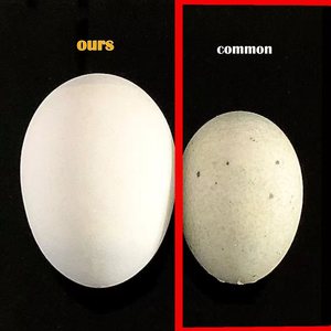 Huevos de Pato en Conserva RC Centry 75g, Sin Amoníaco, Sin Sabor Amargo Alcalino, Sin Astringencia de Cobre, Sin Olor a Cobre, Frescos y Aromáticos - Product Image 5