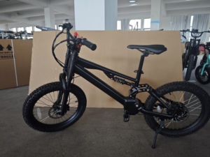 Nuovissima Bici Elettrica da Corsa per Bambini, 18/20 Pollici, Motore 36V 750W, Lunga Autonomia, Modello EKB02 - Product Image 5