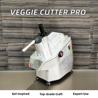 Machine à couper, hacher, trancher et dicer les fruits et légumes électriques, capacité de 500 kg, pour restaurants, hôtels, cuisines commerciales